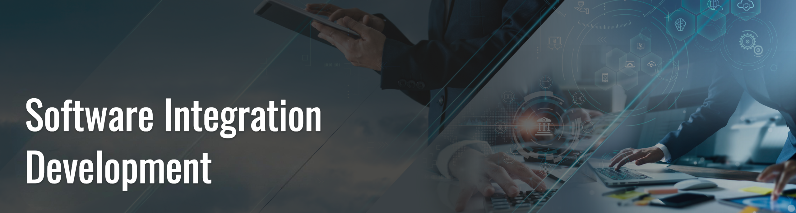 Software Integration Development